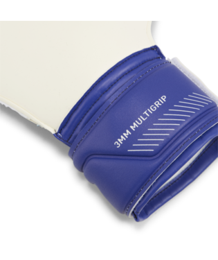 PUMA ULTRA Match Protect RC Goalkeeper Glove Gloves   - Third Coast Soccer