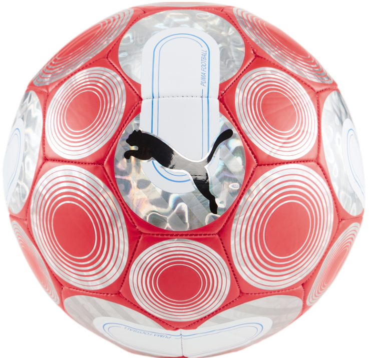Puma Cage Ball- Fire Orchid/Silver/Blue Balls - Third Coast Soccer