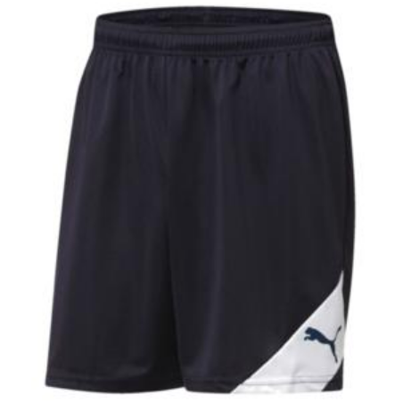Puma Santiago TJ Short - Black Shorts   - Third Coast Soccer
