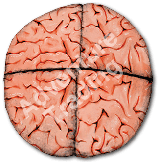 Adventure Trading Footbag - Brain Hack Player Accessories - Third Coast Soccer