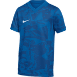Nike Youth Precision VII SS Jersey Goalkeeper Royal Blue/Sport Blue/White Youth XSmall - Third Coast Soccer
