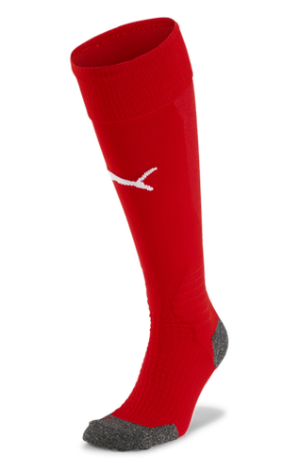 Puma Team Liga Socks - Red Socks RED SMALL (1Y-4Y) - Third Coast Soccer