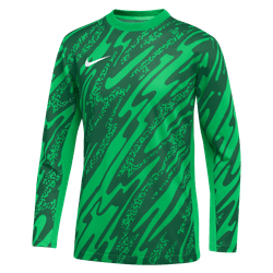 Nike Youth Gardien V Goalkeeper Jersey Goalkeeper Green Spark/Pine Green/White Youth Small - Third Coast Soccer