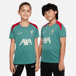 Nike Youth Liverpool FC Strike Drill Top 24/25 Club Replica   - Third Coast Soccer