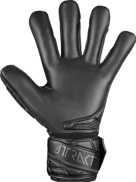 Reusch Attrakt Freegel Infinity