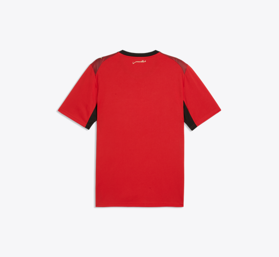 PUMA Egypt Home Jersey 2026 International Replica - Third Coast Soccer