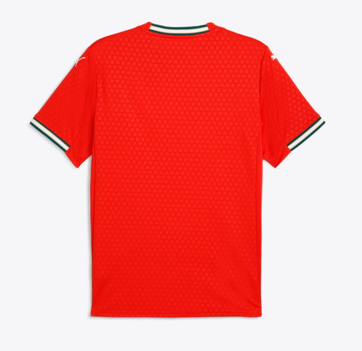 PUMA Portugal Home Jersey 25/26 International Replica - Third Coast Soccer