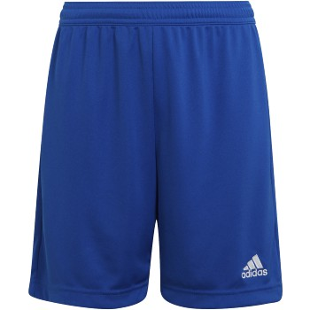 Adidas AFSC Entrada 22 Short - Royal Ascension Flight Rec & Academy Mens Small Team Royal Blue - Third Coast Soccer