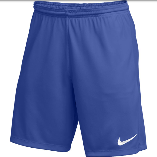 Nike PBS Park III Short - Royal Parkview Baptist School Royal Youth Small - Third Coast Soccer